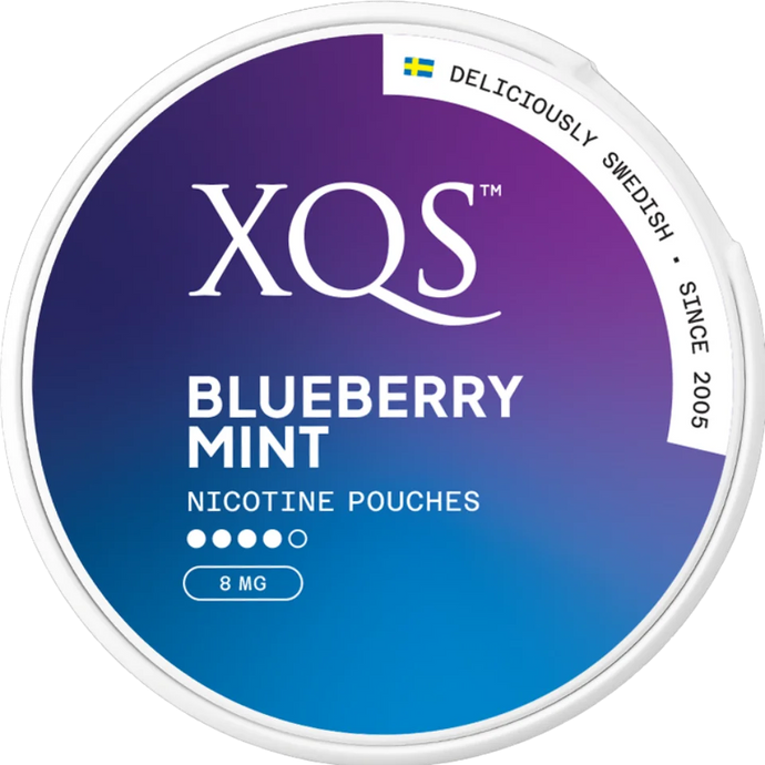 XQS Blueberry Mint Nicotine Pouches | 8mg/ pouch