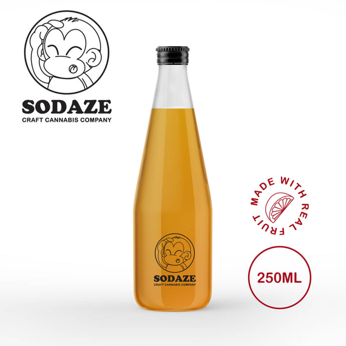 Sodaze Fruit Juice -40mg