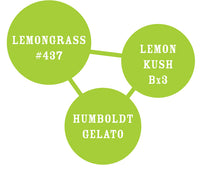 Lemon Grass - Feminised - 5 Seeds